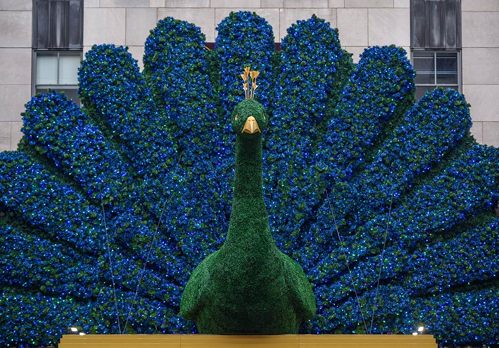 NBCUniversal Peacock