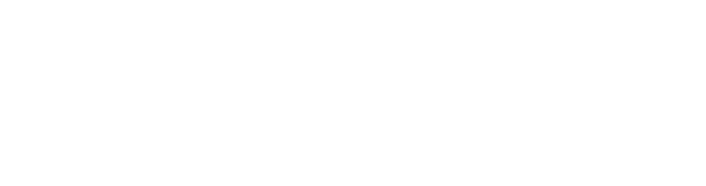 NWSL logo: white soccer player silhouette kicking a ball inside a hexagonal badge, with the letters NWSL to the right