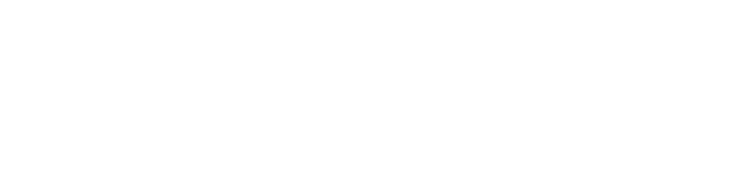 NWSL logo: white soccer player silhouette kicking a ball inside a hexagonal badge, with the letters NWSL to the right
