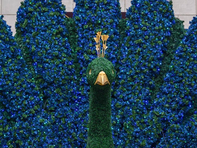 NBCUniversal Peacock
